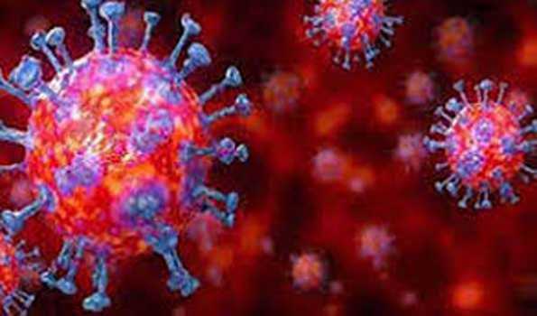 मराठवाड़ा में कोरोना से एक दिन में 47 मौतें